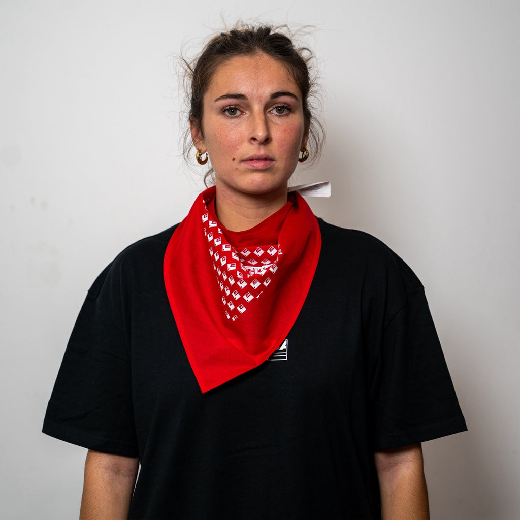 BANDANAS LA BRINGUE